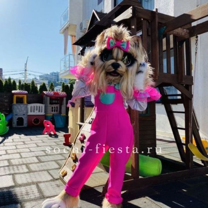Аниматор Гламурная Собака в Пскове