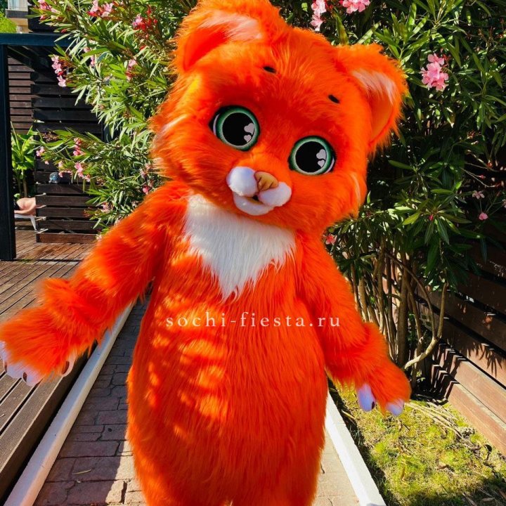 Аниматор Котик в Пскове