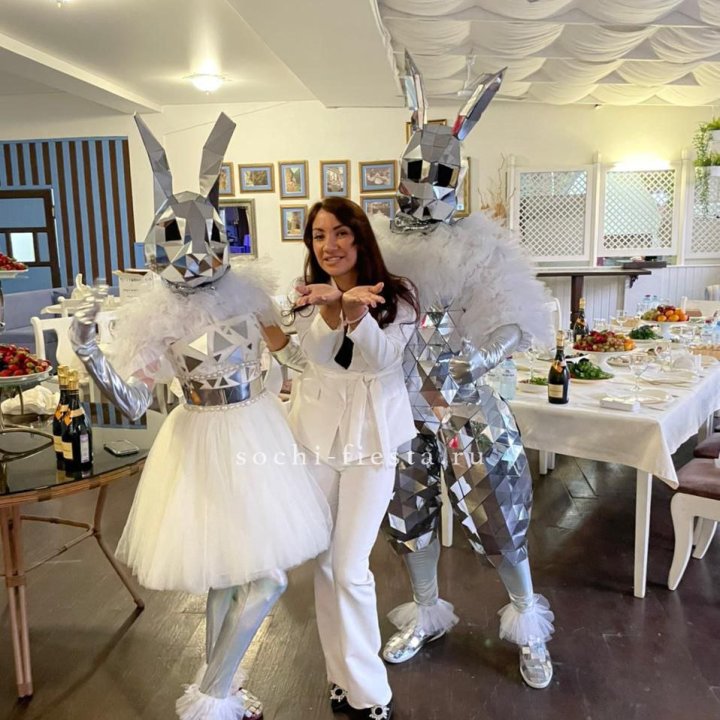 Аниматор Зеркальный заяц в Пскове