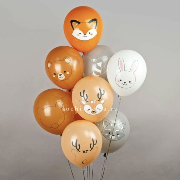 Воздушный шар "Животные" в Пскове