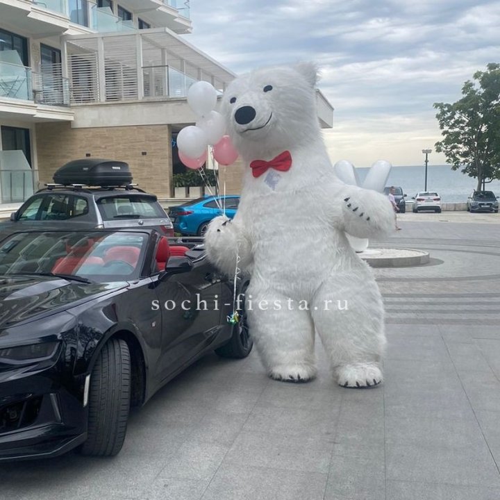 Аниматор Белый Медведь в Пскове