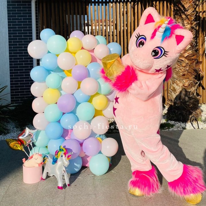 Аниматор Единорог в Пскове