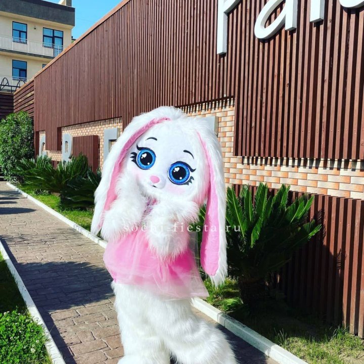 Аниматор Зайка в Пскове