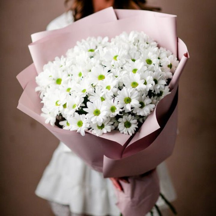 Букет хризантем №2 в Пскове