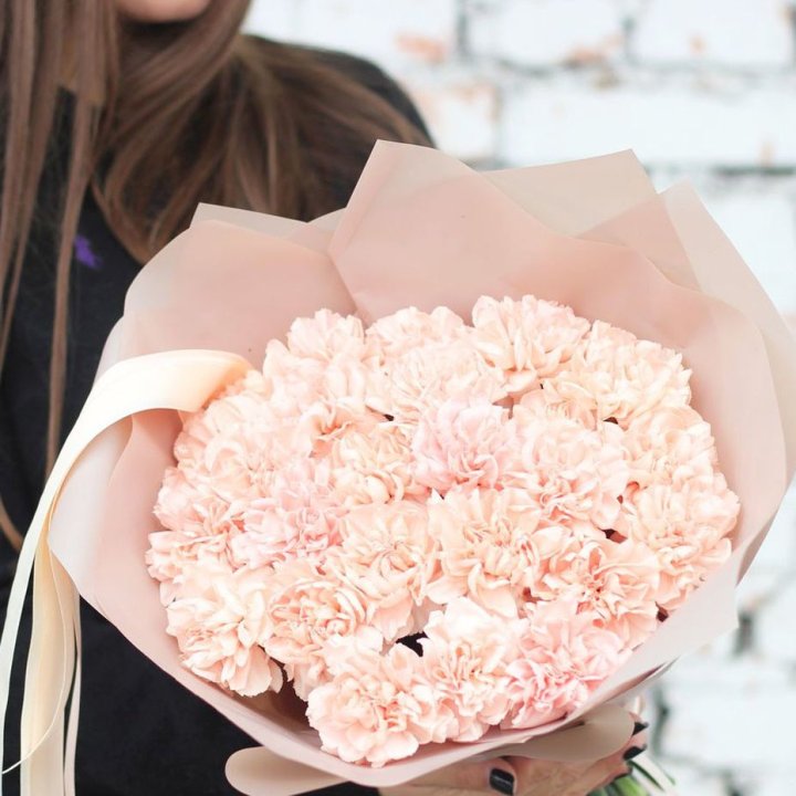 Диантусы №2 в Пскове