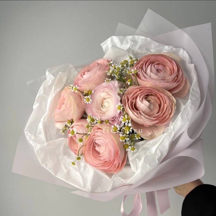 Ранункулюсы с ромашками в Пскове