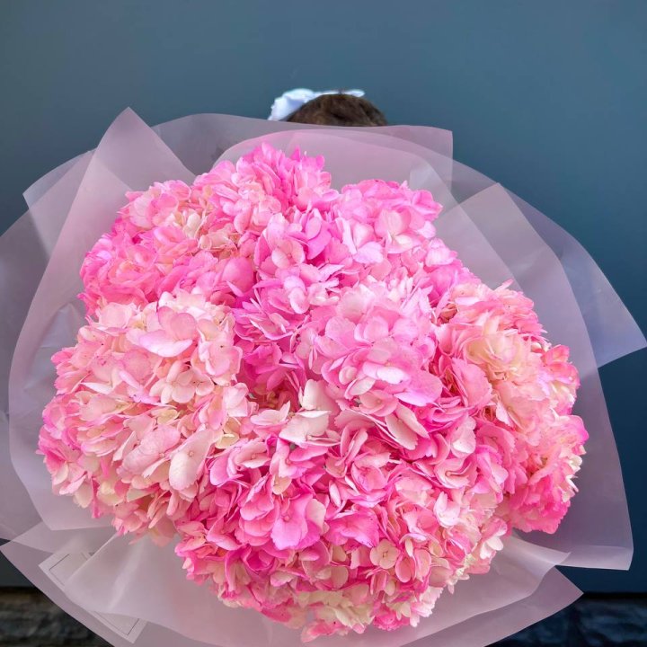 9 ярко розовых гортензий в Пскове