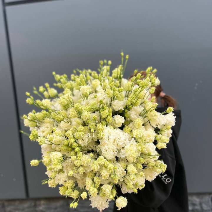 51 белая эустома в Пскове