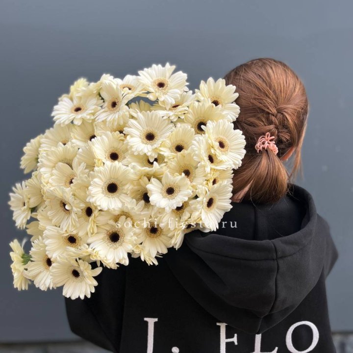 51 гербера в Пскове