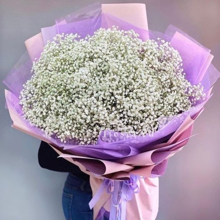 Облако белых гипсофил в Пскове