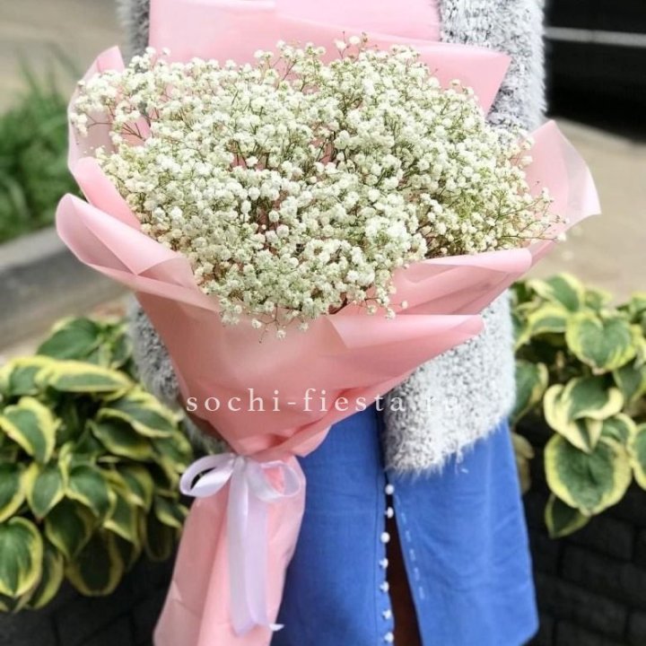 Белоснежные гипсофилы в Пскове