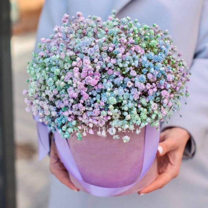 Гипсофилы в шляпной коробке "Кандилайт" в Пскове