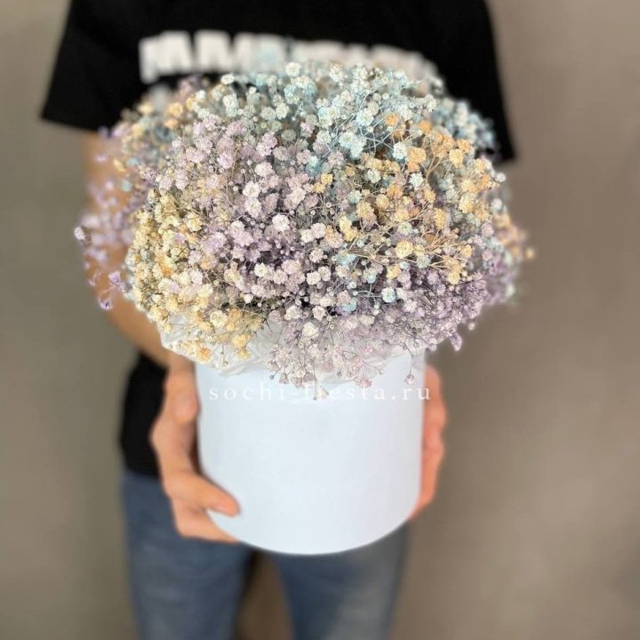 9 Радужных гипсофил в шляпной коробке в Пскове