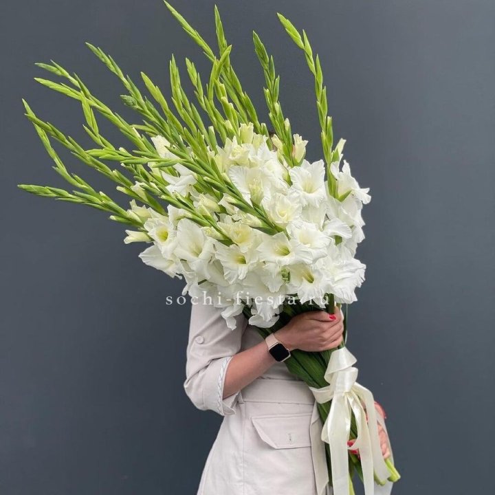 19 белых гладиолусов под ленту в Пскове