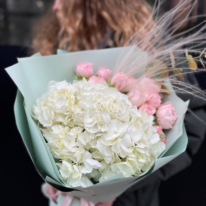 Гортензия "Жасмин" в Пскове