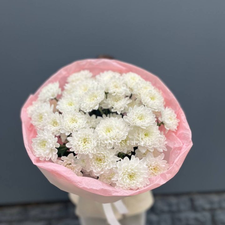  5 хризантем  в Пскове