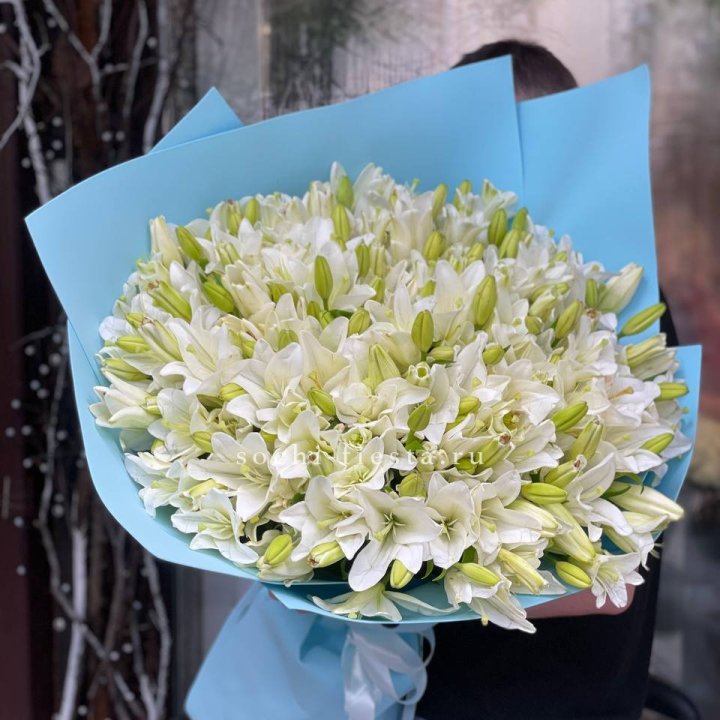 51 лилия в оформлении в Пскове