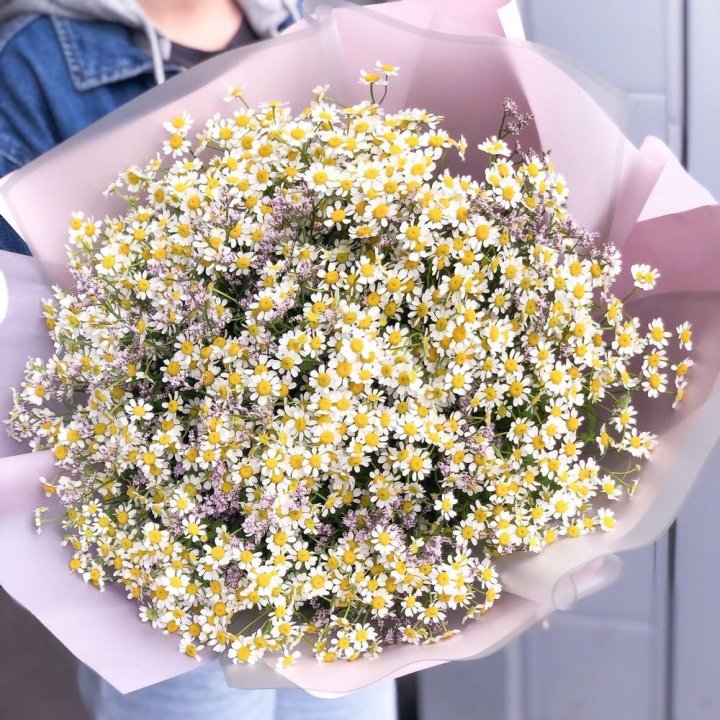 Букет ромашек №1 в Пскове