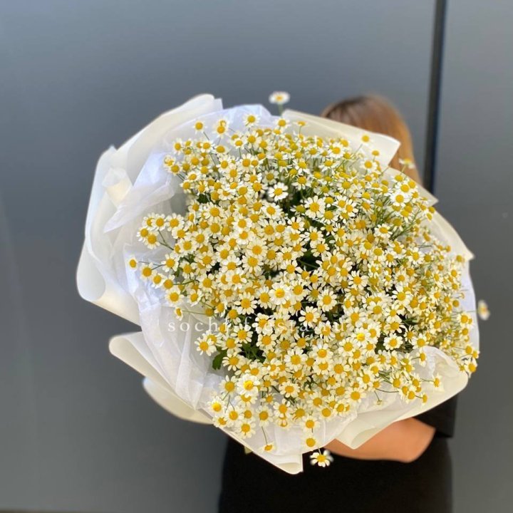 Букет ромашек "Фемели" в Пскове