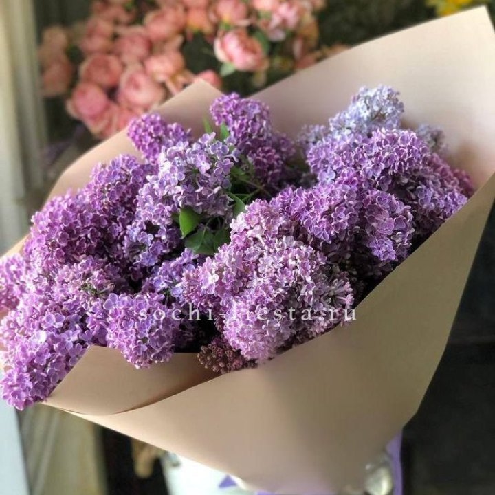 Букет сирени №2 в Пскове