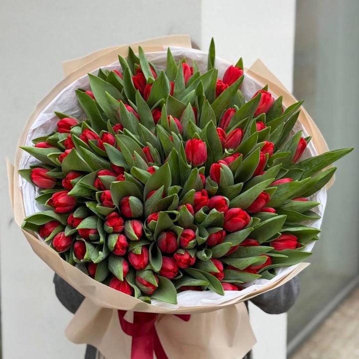 101 красный тюльпан в Пскове