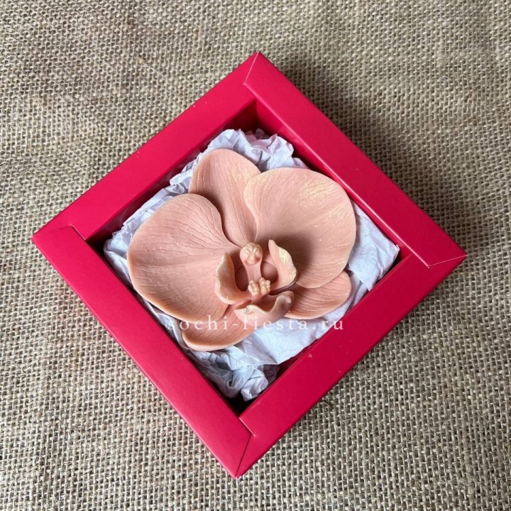 Бельгийский шоколад Орхидея в Пскове