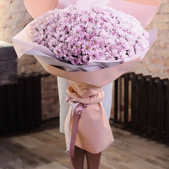 Облако хризантем №1 в Пскове