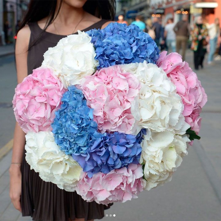 Букет гортензий "Инь-Янь" в Пскове