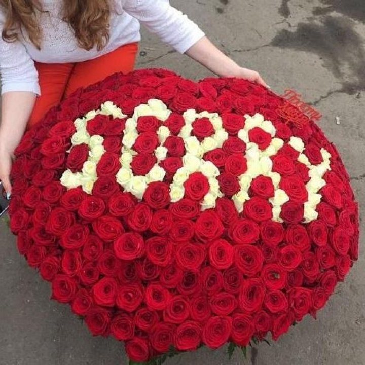 351 роза "Прости меня" в Пскове