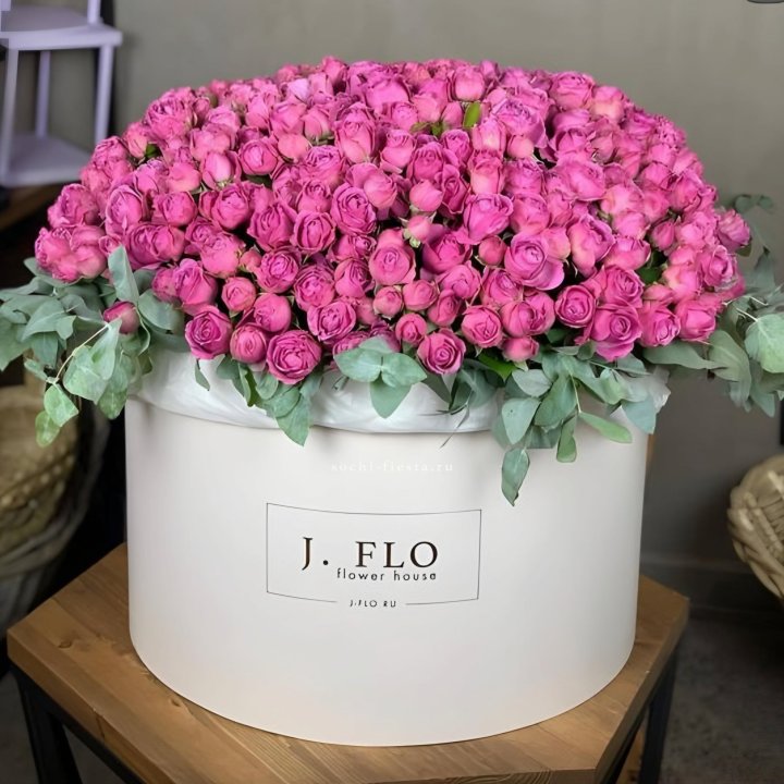 Цилиндр с Мисти Бабблс  в Пскове