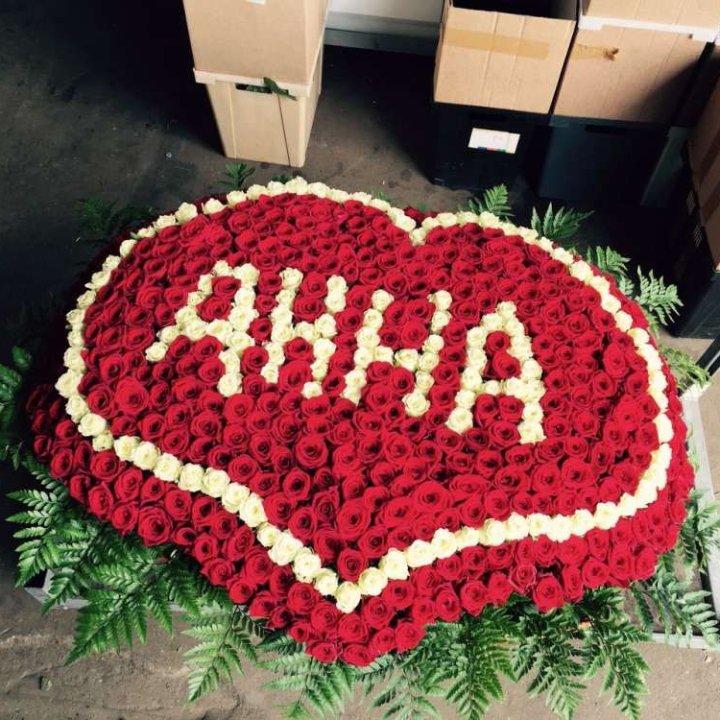 555 роз с именем в Пскове