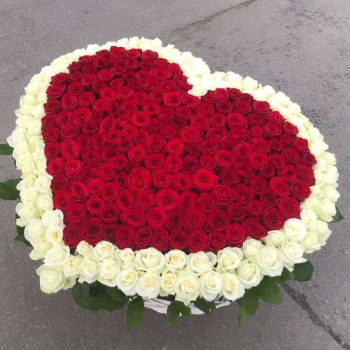 333 розы в корзине в Пскове