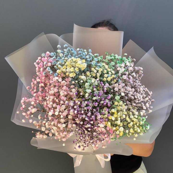 Радужные гипсофилы  в Пскове