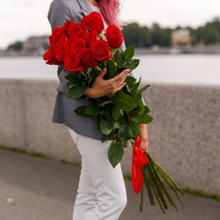 15 метровых голландских роз в Пскове