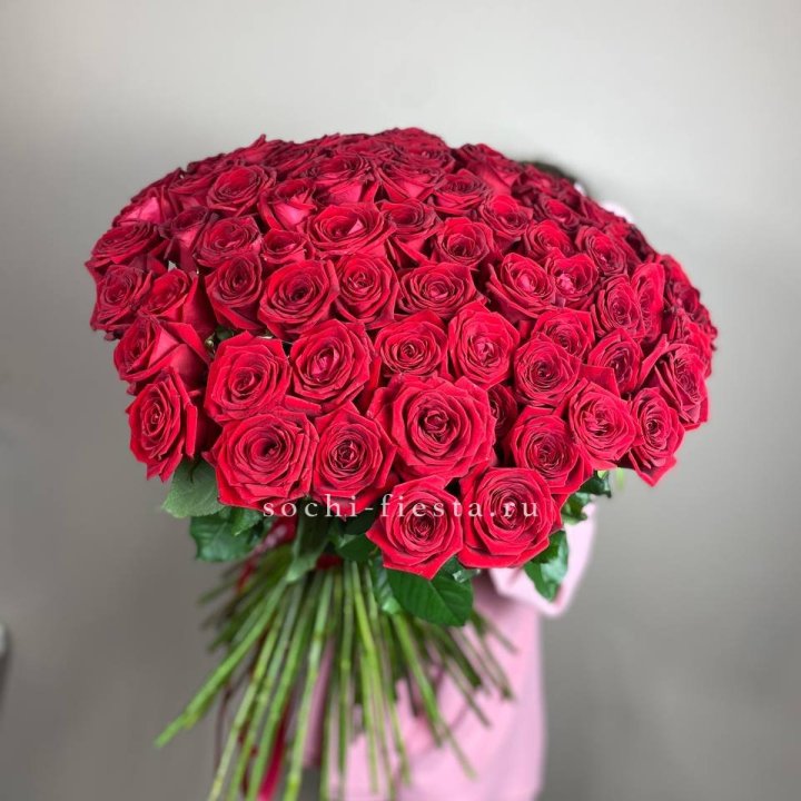 101  голландская роза  в Пскове