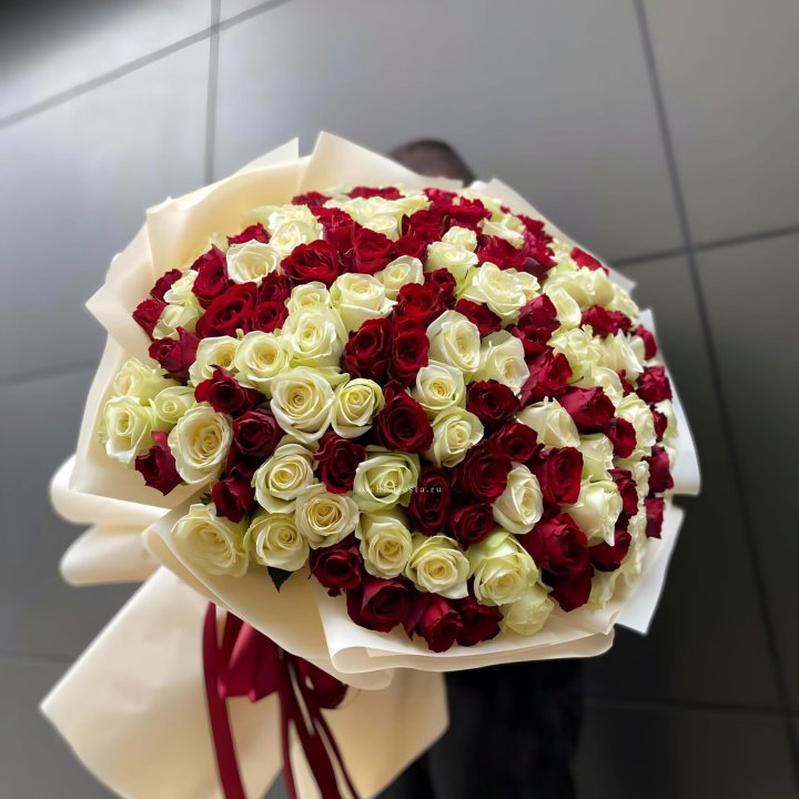 101 высокая импортная роза  в Пскове