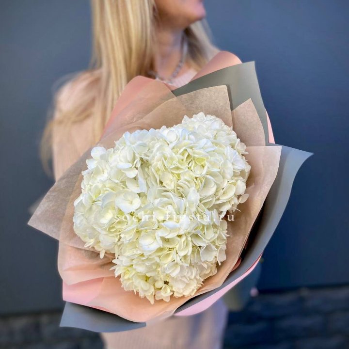 Букет из трёх белых гортензий в Пскове