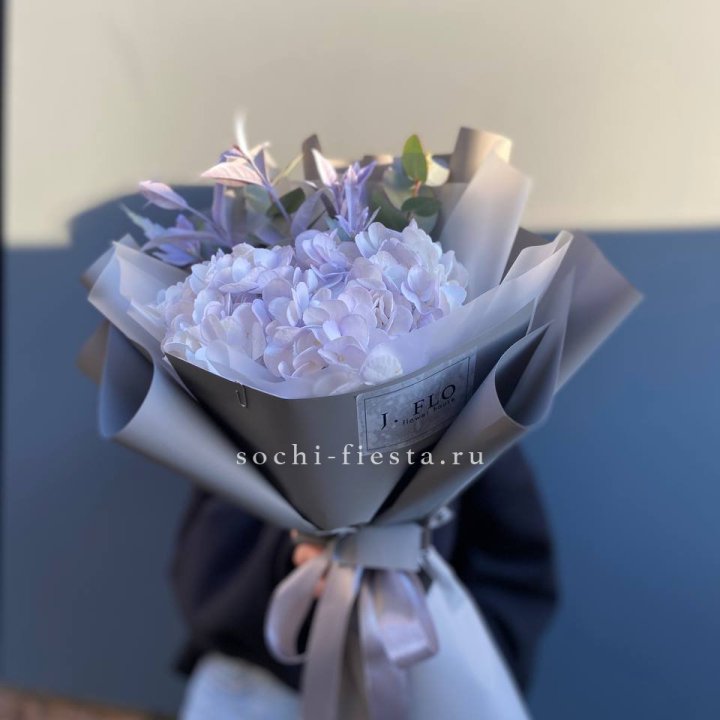 Гортензия "Виолета" в Пскове