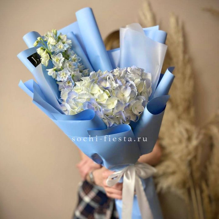 Гортензия "Блю скай" в Пскове