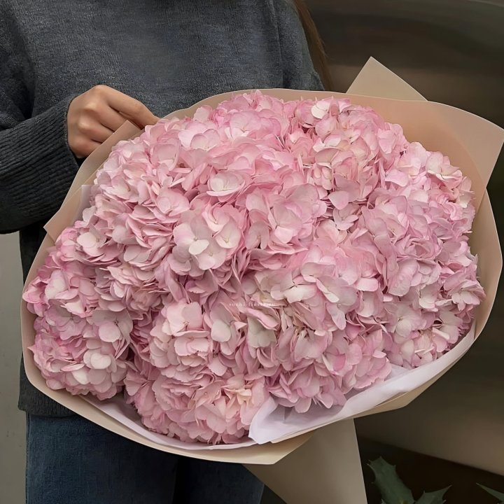 Гортензия  "РОЗЕ" в Пскове