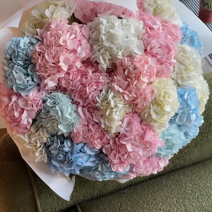 Букет гортензий микс в Пскове