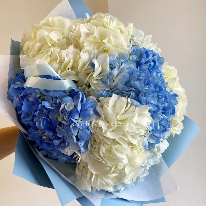 Букет гортензий "Голубая лаза" в Пскове