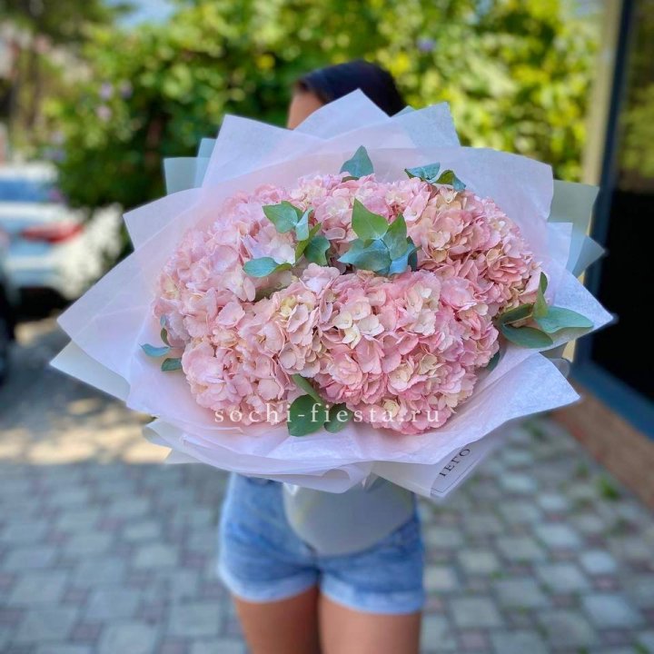 5 розовых гортензий  в Пскове