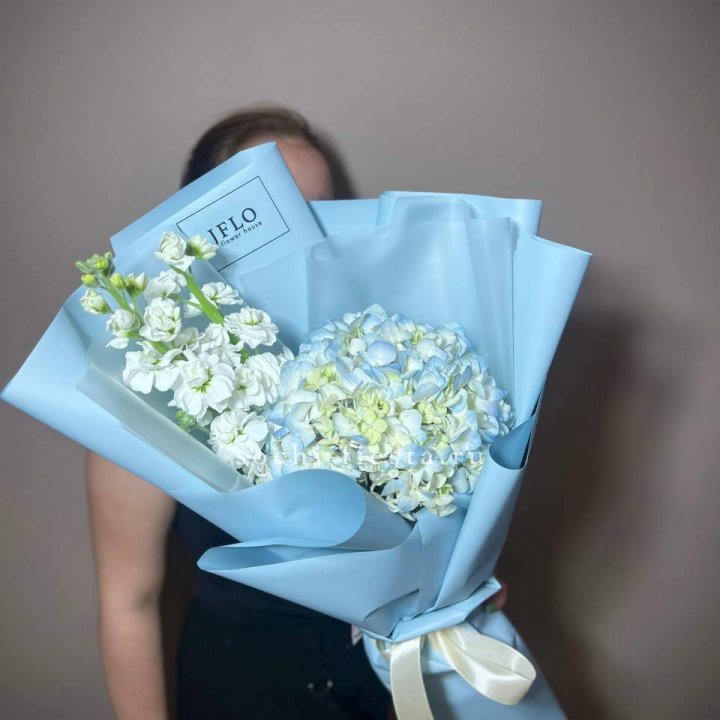 Гортензия голубая с маттиолой в Пскове