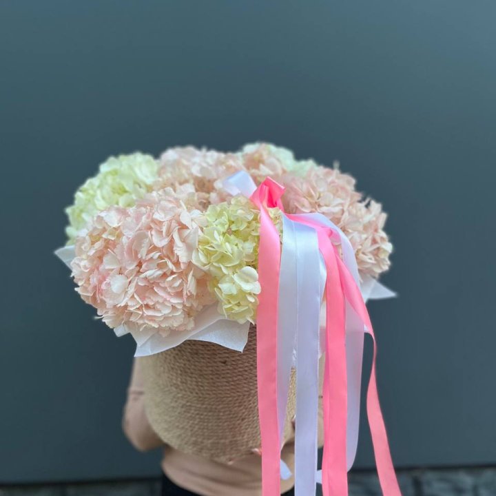 7 гортензий в кашпо в Пскове