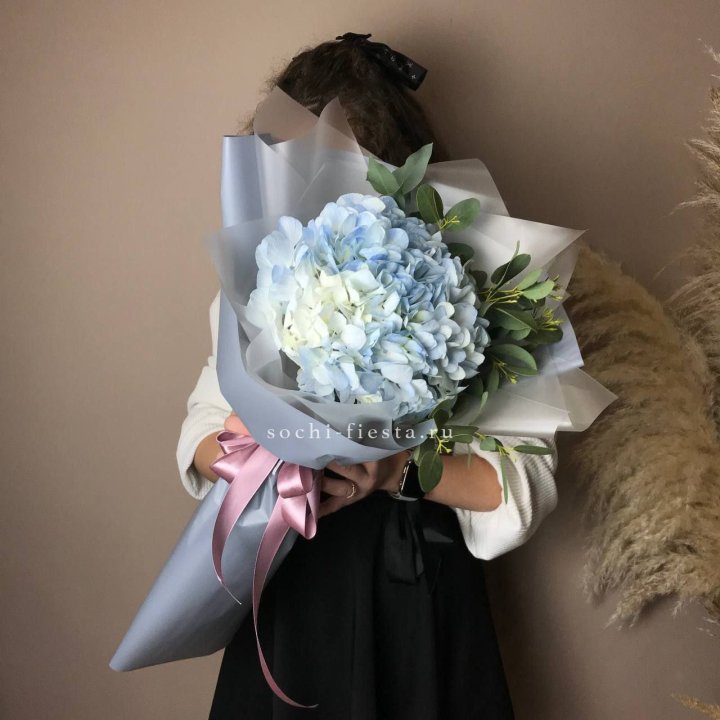 Гортензия Уно в Пскове