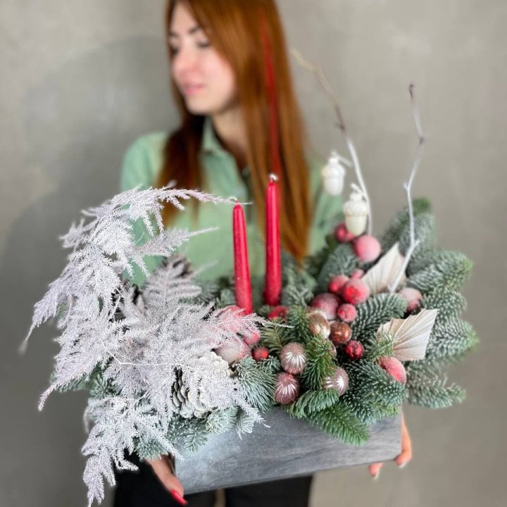 Бокс красный с нобилисом в Пскове