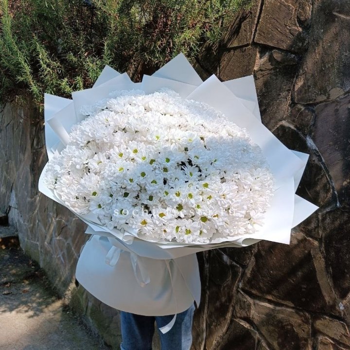 Облако хризантем №2 в Пскове