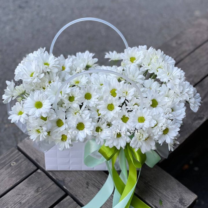 Сумка с хризантемами ромашками в Пскове