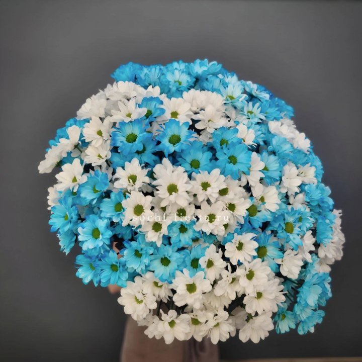  Букет хризантем микс в Пскове